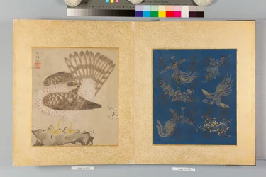 Album of Hawks and Calligraphy