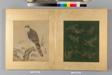 Album of Hawks and Calligraphy