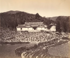 Teafield & Josshouse at Peling, ca. 1869