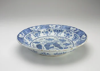 Dish