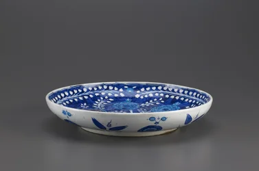 Dish