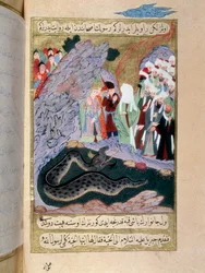 The Prophet Muhammad tames a snake