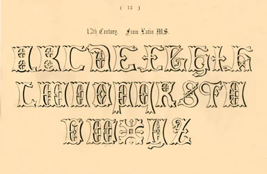 13th Century. From Latin Manuscript, 1862