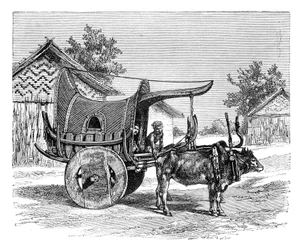 A Burmese Wagon, Burma Myanmar