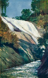 A Cascade at Tijuca, Rio