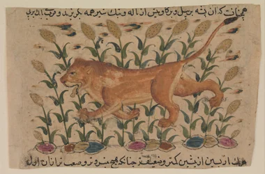 A Lion, Folio from a Dispersed Nuzhatnama-i ‘Ala’i of Shahmardan ibn Abi’l Khayr, early 17th century