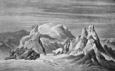 A Party from the Tegetthoff Encounters A Bear