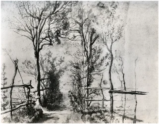 A Path Bordered by Trees