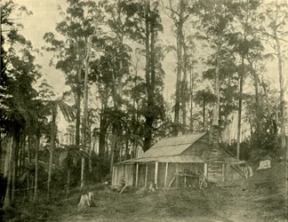 A Rustic Dwelling, 1901