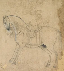 A Saddled Horse