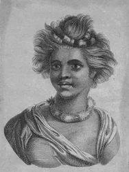 A Woman of the Sandwich Islands