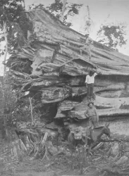 A Big Bit of Brazilian Timber