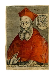 A Cardinal