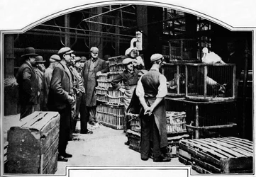 A Corner of Leadenhall Market, London, c1901