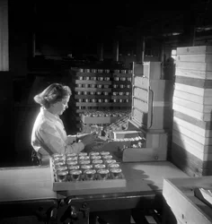A female worker packs tins of cigarettes, London 1950