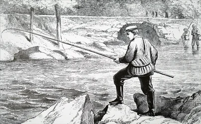 A fisherman