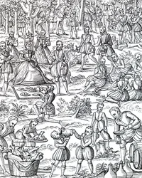 A Royal Picnic