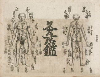 Acupuncture Diagram Showing Where Singeing Should Be Avoided