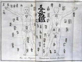 Acupuncture: Chart of the Human Body Indicating Moxibustion Points, Japan (c.1690)