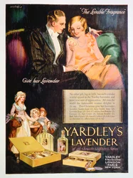 Advert for Yardleys Lavender Perfume