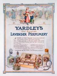 Advert for Yardley