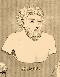 Aesop