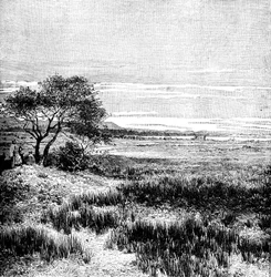 Agha Valley, Central Pampa, Argentina, 1895