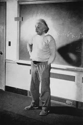 Albert Einstein, German-Swiss-American Mathematician and Physicist