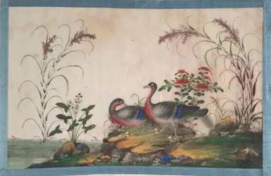 Album Containing Twelve Paintings of Birds
