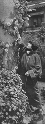 Amelita Galli-Curci: The Great Diva Gathering Roses, Her Favourite Flowers, c1925