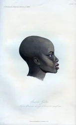 Amochi Galla, a Portrait of a Galla
