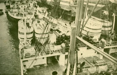 An Impressive Array of Boats Aboard the Leviathan