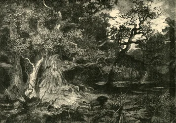 An Old German Forest, 1890
