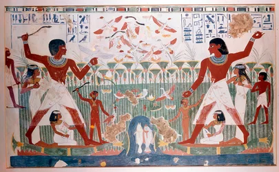 Ancient Egyptians Hunting Wildfowl with Throwing Sticks