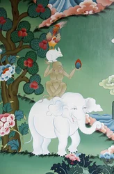 Animal friendship tale