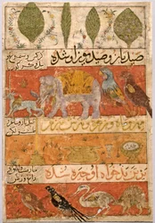 Animals, Birds, and Plants verso, Illustration and Text Persian Verses, 1341