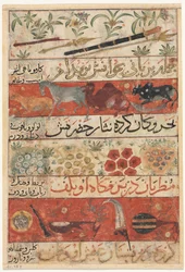 Animals, Precious Stones, Coins, and Musical Instruments, c. 1341
