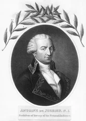 Antoine de Jussieu, 18th Century French Botanist, 1807
