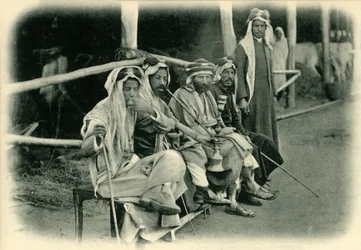 Arab Horse Dealers