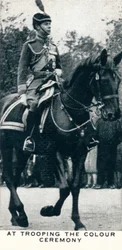 At Trooping The Colour Ceremony