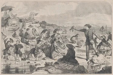 August in the Country - The Sea-Shore Harper