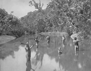 Australian Aborigines Spearing Fish