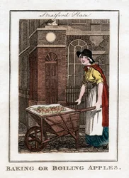 Baking or Boiling Apples, Stratford Place, London