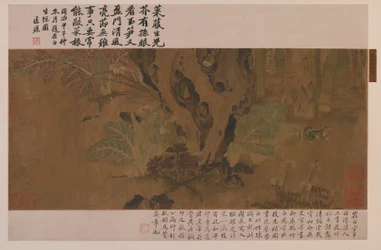 Bamboo, Frog, and Insects