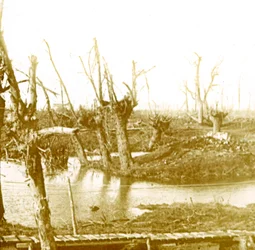 Battlefield
