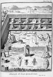 Beekeeping
