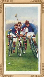 Bicycle Polo