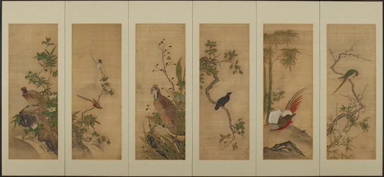 Birds and Flowers