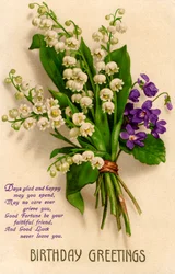 Birthday Card