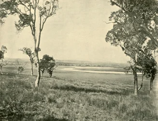Black Swan Lagoon, near Warwick, Queensland